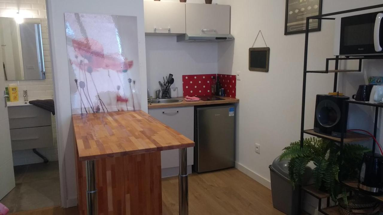 Palais De Justice Apartment Toulouse Buitenkant foto